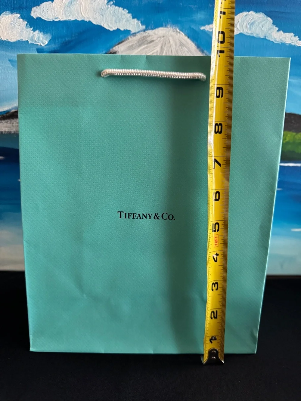 A Tiffany & Co. Signature Blue Gift Set with White Ribbon (empty box/bag)
